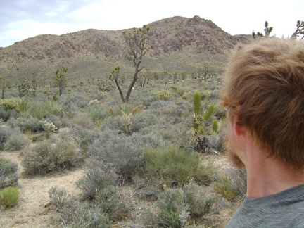 Nearby is Kessler Peak and an old mining to the north, which might make a nice hike