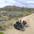 I ride the half-mile up the dirt road from my Cima Dome campsite and reach the pavement of Cima Road at noon sharp