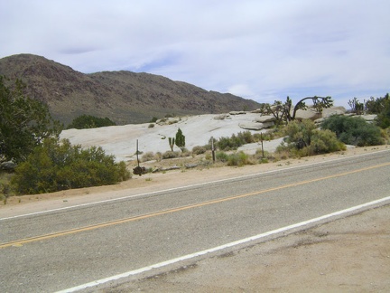 Along Cima Road is a large patch of exposed rock