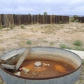 Well, the cistern in this old corral along Cima Road is dry, so I presume the big water tank nearby is empty too