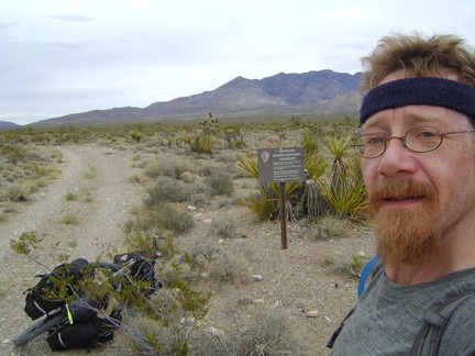 Re-entering Mojave National Preserve, this time in the smaller part of the Preserve that's north of Interstate 15