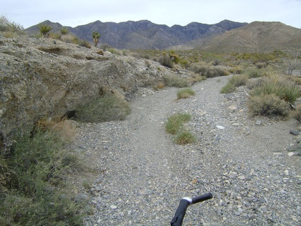 An hour later, Pachalka Spring Road climbs up through a wash