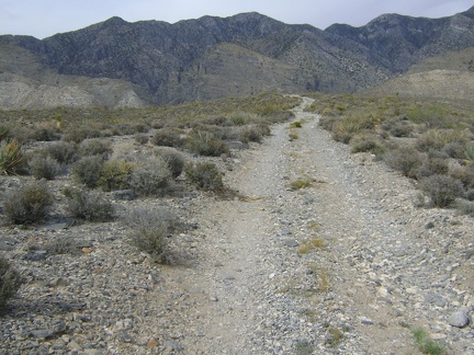 Pachalka Spring Road was climbing slowly at 3-5 percent grade for a while, but now the grade is 5-10 percent