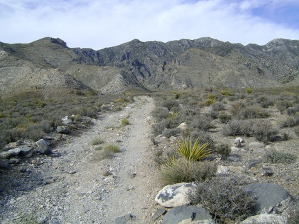 Pachalka Spring Road has slowly made its way up onto a low ridge