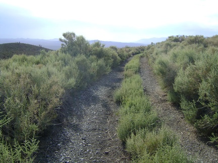 Pachalka Spring Road just west of the ruins doesn't look like it gets much traffic