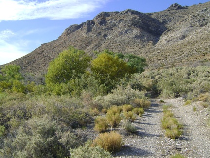 Im not sure yet where I'll set up my tent; I park my bike and walk down the short road toward the green trees at Pachalka Spring