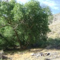 A campfire ring by the trees adjacent to Pachalka Spring makes for an enticing place to set up camp