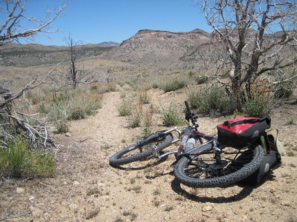 Beyond the juniper campsite, the shortcut road to Cedar Canyon Road fades out somewhat due to lack of use