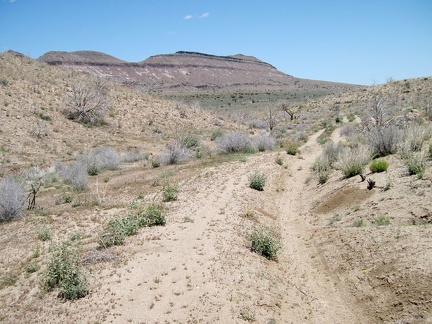 Off-camber stretches of the shortcut road toward Pinto Mountain make it unusable by low-clearance vehicles