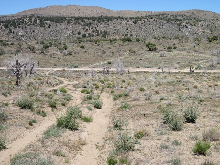 The shortcut road descends to Cedar Canyon Road and then crosses it