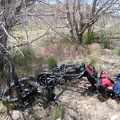 I stash my bicycle behind some dead trees near the old Mojave Road  and start the hike to nearby Pinto Mountain