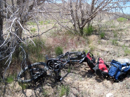 I stash my bicycle behind some dead trees near the old Mojave Road  and start the hike to nearby Pinto Mountain