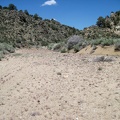 Still in Cedar Wash, to my right is one of two locations I marked on my GPS unit as a possible route up Pinto Mountain