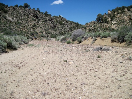 Still in Cedar Wash, to my right is one of two locations I marked on my GPS unit as a possible route up Pinto Mountain