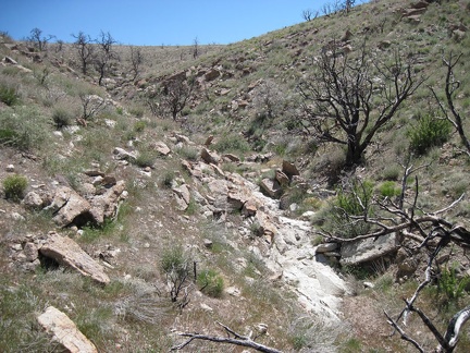 I'll keep hiking up to the top of the semi-barren slope, and then I should be at the top of Pinto Mountain