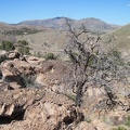 After an hour on Pinto Mountain, I start my way back down to the valley on the easy north side through a boulder patch