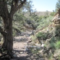 I follow a different mini-canyon on the lower part of the return to Cedar Wash and pass under the remains of an old fence