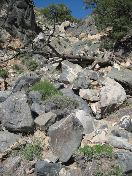 Partway down the rock pile leading to Cedar Wash, I turn back to look up at my descent route