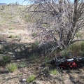 I reach the trees off the old Mojave Road under which I stashed my bicycle, and voilà, it's still there