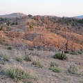 When sunset approaches, I walk up a hill near my site at Mid Hills campground to take in the views