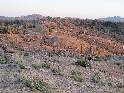 When sunset approaches, I walk up a hill near my site at Mid Hills campground to take in the views