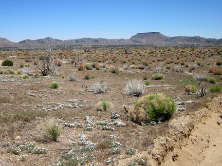 I pause along Black Canyon Road to take a look across the valley to Table Top Mountain