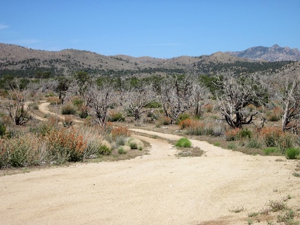 Now it's time to ride down "The Shortcut Road" between upper Black Canyon Road and Cedar Canyon Road