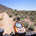  Since I'm in no rush today, I decide to take a short detour over to Government Holes, that big tree up the dirt road here