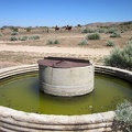 I park the 10-ton bike and walk over to the Government Holes corral, next to which a cistern full of green water glows