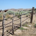 Some of the old fencing at the Government Holes corral is made of unhewn wood posts with metal horizontal members