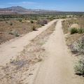 I ride down an old alignment of the Mojave Road that will arrive at the Bert Smith Rock House after about 1.5 miles