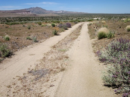I ride down an old alignment of the Mojave Road that will arrive at the Bert Smith Rock House after about 1.5 miles