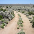 This little piece of dirt road is a good mountain-bike ride, if you like sagebrush flats