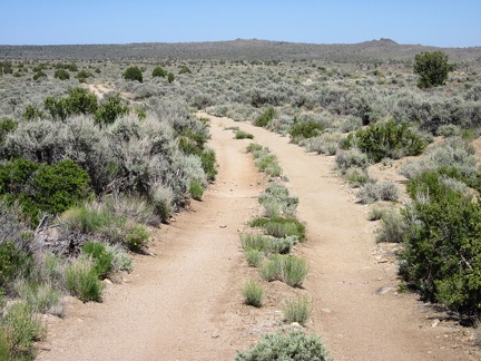 This little piece of dirt road is a good mountain-bike ride, if you like sagebrush flats