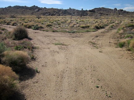 Ah, another crossroads! The right fork leads to Howe Spring, the left to Bathtub Spring