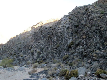 This rock-wall segment in Piute Canyon has a crumpled appearance