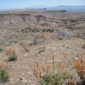 Southeast from Hill 1713 in the Providence Mountains are great views across nearby Wild Horse Mesa and the Beecher Canyon area