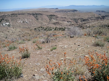 Southeast from Hill 1713 in the Providence Mountains are great views across nearby Wild Horse Mesa and the Beecher Canyon area