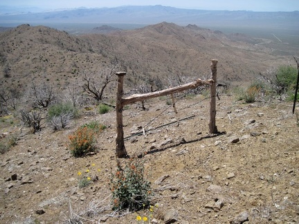 I decide to hike along the ridge toward nearby Hill 1625 in the Providence Mountains and cross through an old ranch fence