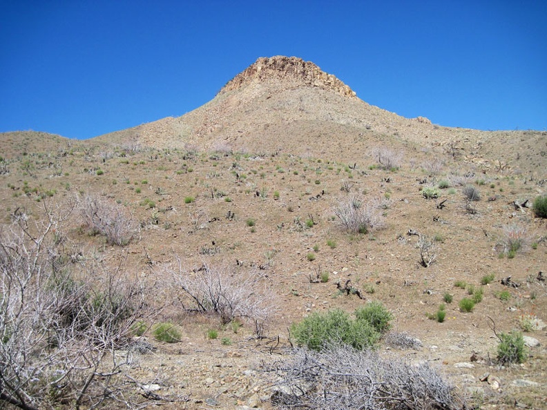 As I walk down into Beecher Canyon, I look up at the hilltops above