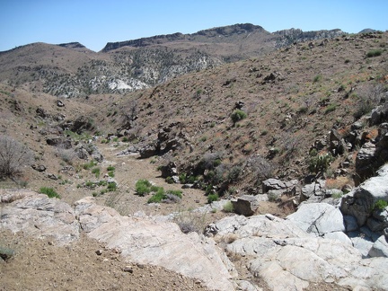 On the way down into Beecher Canyon I find myself approaching a steep rocky drop-off