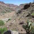 When I reach the junction of the north and east forks of Beecher Canyon, I turn left and start walking up the east fork