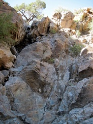 This dry waterfall in the east fork of Beecher Canyon is steeper than it looked from a distance