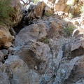 This dry waterfall in the east fork of Beecher Canyon is steeper than it looked from a distance