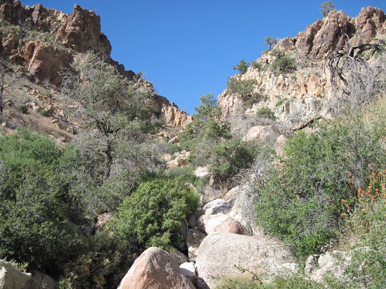 I'm getting close to the top of Beecher Canyon, check my maps, and decide that it's time to turn left (north)