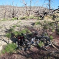 I return to my bicycle by Blue Jay Mine after the hike in Beecher Canyon
