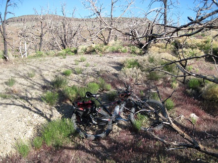 I return to my bicycle by Blue Jay Mine after the hike in Beecher Canyon