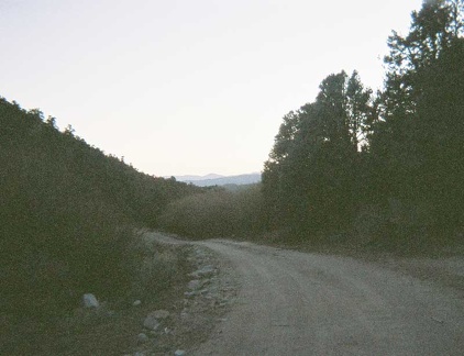 Finally, we start our long descent into Death Valley on Hunter Mountain Road, through the pine trees