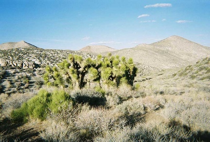 We drive 10 miles across Hidden Valley toward Goldbelt Spring