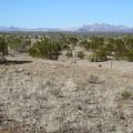 This part of the old Rattlesnake Mine site has great views over to both the Castle Peaks and the Castle Mountains
